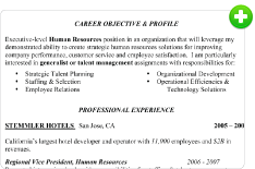 Preview of the Resume Builder